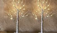 EAMBRITE Lighted Birch Tree for Home Decor, Easter Decorations Indoor, 2Pack 24 LED Battery Operated Tabletop Mini Artificial Trees with Lights for Christmas Centerpiece Mantel (2FT/Warm White)