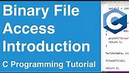 Binary File Access Introduction | C Programming Example