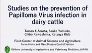 Studies on the Prevention of Bovine Papilloma Virus Infection in Dairy Cattle