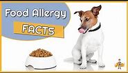 Food Allergy in Dogs: Causes, Diagnosis and Treatment