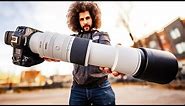 Canon RF 200-800 REVIEW: The ULTIMATE “Budget” Wildlife SUPER ZOOM Lens?!