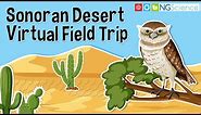 Sonoran Desert – Virtual Field Trip