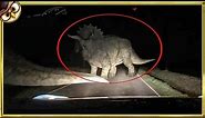 30 Dinosaurs Caught on Camera in Real Life