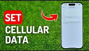 How to Set Cellular Data to 3G, 4G(Lte) or 5G - [IPhone 15 Pro]