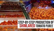 Step-by-Step Production of Shimlared Tomato Puree