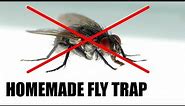 Make a Homemade Fly Trap | Science Project