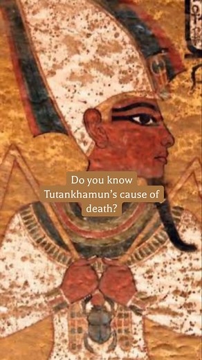 127 reactions · 7 comments | Ancient DNA reveals a deadly royal truth… King Tut’s final moments explained! #history #egypt #ancientegypt | Weird History Facts & Vintage Photography | Facebook