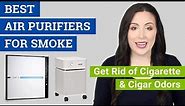 Best Air Purifiers for Smokers (2021 Smoke Air Purifier Reviews & Buying Guide)
