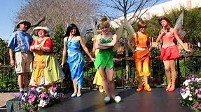 Disney Fairy Epcot Debut at Pixie Hollow - Tinker Bell, Iridessa, Silvermist, Fawn & Rosetta 2009