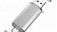 RAOYI 128GB USB C Flash Drive, 2 in 1 USB 3.0 Type C Dual OTG Metal Thumb Drive Jump Drive Memory Stick with Keychain Suitable for USB-C Smartphones, MacBook, Computers and Tablets (Silver)