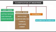 NCERT Class 10 | Classification of Industries - Agro, Mineral, Automobile, IT sector
