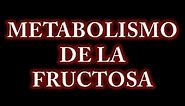 Metabolismo de la Fructosa