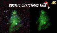 A Cosmic Christmas Tree Nebula in Space NGC 2264 in 4K