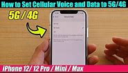 iPhone 12/12 Pro: How to Set Cellular Voice and Data to 5G/4G