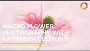 Macro Flower PhotographyTutorial using the Nik Collection 3 by DxO