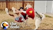When Teaching Your 85-Pound Dog To Give Hugs Goes Wrong | The Dodo