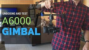 Best Budget 3-Axis Gimbal for the Sony A6000