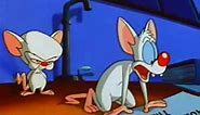 Pinky And The Brain - S1E13 - Snowball