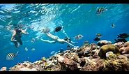 Cozumel Snorkel Center Dive into Adventure Book Your Snorkeling Tour Today