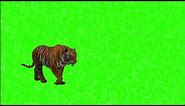 Green Screen Cartoon Lion Walking | Copyright free green screen Lion Walking