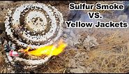 Sulfur Smoke Bomb vs. Yellow Jacket Hornet Nest. Mousetrap Monday.