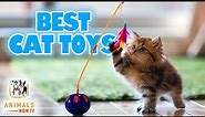 Top 10 Best Cat Toys You Can Buy Online 20-21