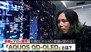 映像のプロも驚く4K有機ELテレビ『AQUOS QD-OLED』：シャープ