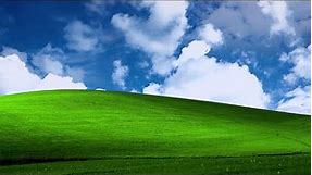 All Windows XP Wallpapers