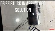 iPhone 5s stuck in Apple logo solution