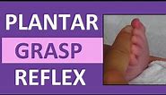 Plantar Grasp Reflex in Infant Newborn | Pediatric Nursing Assessment