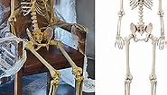 yosager 5 ft Pose-N-Stay Life Size Skeleton with Glowing Eyes, Human Bones Full Body Realistic with Posable Joints, Pose Skeleton Prop for Halloween Decoration