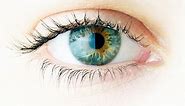 Cristalino del ojo: anatomía y funciones | Blog de Clínica Baviera