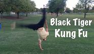 Black Tiger Kung Fu KATA - Most Powerful Martial Art in the World
