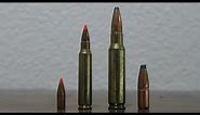 223 vs 308 Winchester Review & Comparison