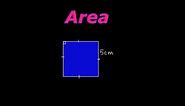 How To Find The Area and Perimeter Of A Square!