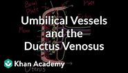Umbilical vessels and the ductus venosus | Circulatory system physiology | NCLEX-RN | Khan Academy