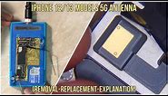 iPhone 12/13 5G Antenna Removal (Replacement-Explanation) Repair Video