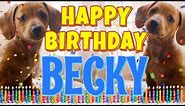 Happy Birthday Becky! ( Funny Talking Dogs ) What Is Free On My Birthday