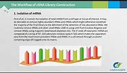 cDNA Library Construction