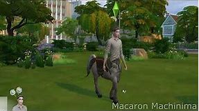 [Sims 4 Series] "The Last Faie" Centaur Rig (Test)