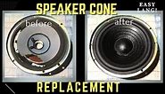Speaker Cone Replacement