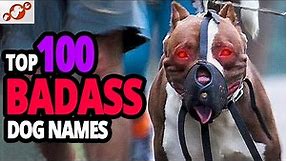🐕 TOP 100 Badass Dog Names For Male!