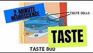 2-Minute Neuroscience: Taste