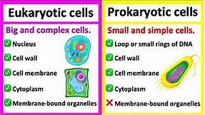 EUKARYOTIC CELLS vs PROKARYOTIC CELLS | What's the difference?