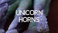 Sweet Unicorn Horns