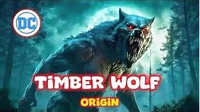 Dc Timber Wolf Origin [Explain In Hindi]🔥