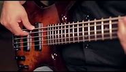 Ibanez GSR205SM 5 String Electric Bass Demo