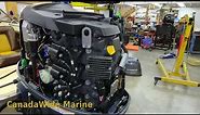Yamaha Four Stroke 50hp. How to change your oil and filter, with lots of detail.