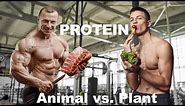 Protein Quality: Animal Versus Plant