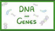 GCSE Biology - DNA Part 1 - Genes and the Genome #63